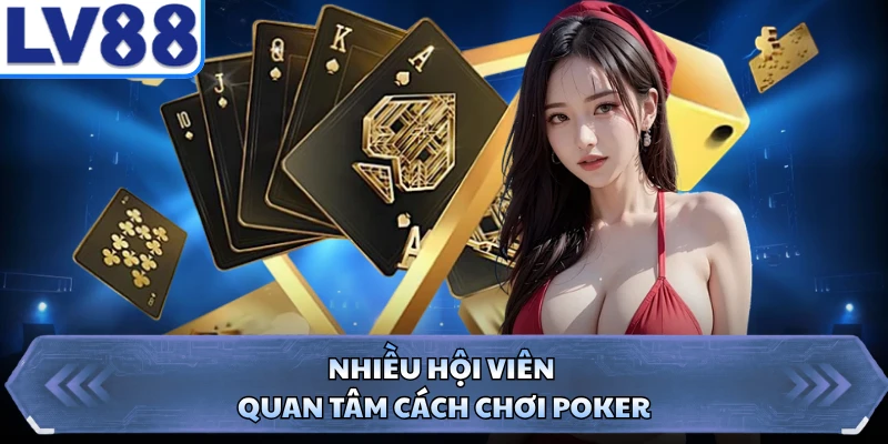 Nhiều hội viên quan tâm cách chơi Poker